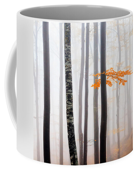 Balkan Mountains Coffee Mug featuring the photograph Delicate Forest by Evgeni Dinev
