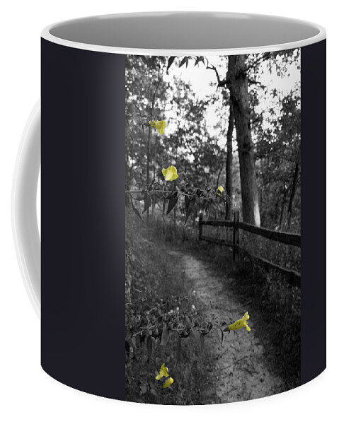 Flower Coffee Mug featuring the photograph Delicate Path by Dylan Punke