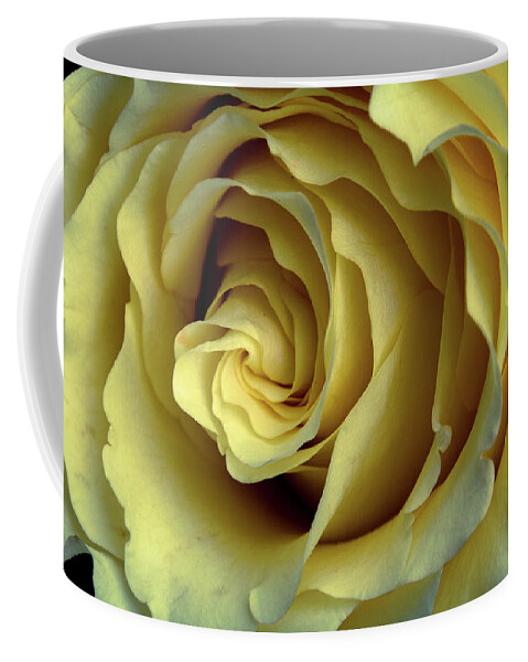 Macro Coffee Mug featuring the photograph Delicate Rose Petals by Deborah Klubertanz