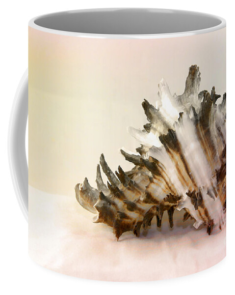 Shell Coffee Mug featuring the photograph Delicate Shell by Teresa Zieba
