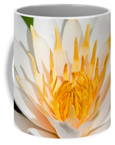 Water Lilly Coffee Mug featuring the photograph Delicate Touch by Az Jackson