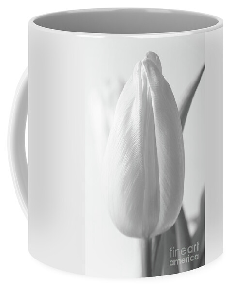 Christian Coffee Mug featuring the photograph Delicate Tulip by Anita Oakley