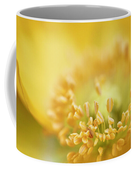 Flowers & Plants Coffee Mug featuring the photograph Delicate yellow poppy by Jeff Folger