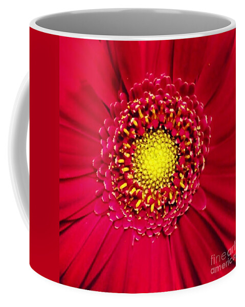 Flower Coffee Mug featuring the photograph Depth by Denise Railey