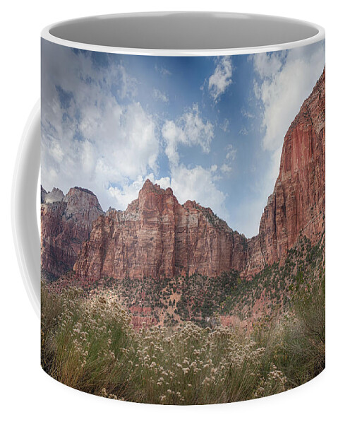 Landscape Coffee Mug featuring the photograph Descent into Zion by John M Bailey