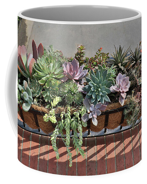 Desert Coffee Mug featuring the photograph Desert Arrangement by J Laughlin