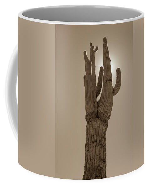 Desert Coffee Mug featuring the photograph Desert cactus by Darrell Foster