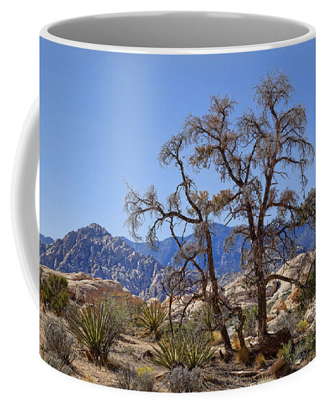Desert Coffee Mug featuring the photograph Desert Contrast by Kelley King
