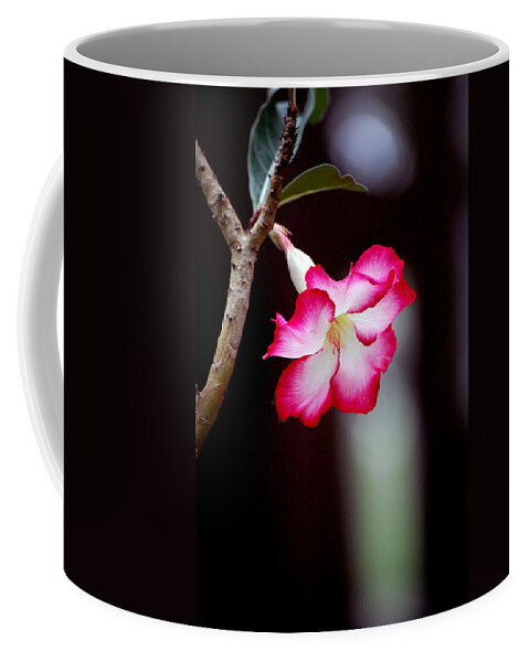 Flower Coffee Mug featuring the photograph Desert Flower by Robert Meanor