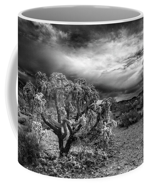 Black And White Coffee Mug featuring the photograph Desert Morning by Sue Cullumber