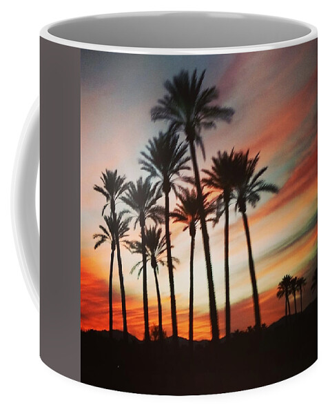 Palm Trees Coffee Mug featuring the photograph Desert Palms Sunset by Vic Ritchey