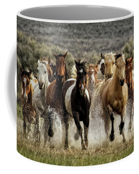 Flatlandsfoto Coffee Mug featuring the photograph Desert Showers by Joan Davis