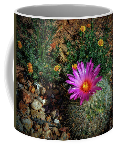 Flowers Coffee Mug featuring the photograph Desert Splash by Elaine Malott