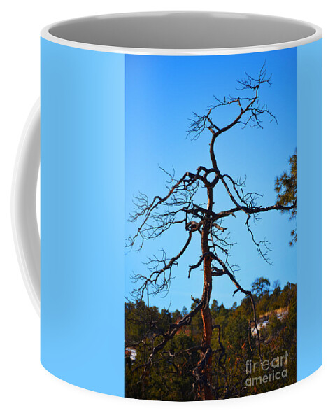 Southwest Landscape Coffee Mug featuring the photograph Deserts toll by Robert WK Clark