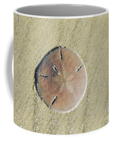 Beach Coffee Mug featuring the photograph Design In The Sand by Jan Gelders