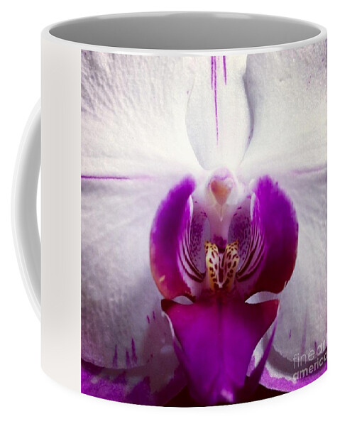 Orchid Coffee Mug featuring the photograph Love by Denise Railey