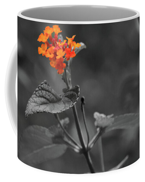 Art Coffee Mug featuring the photograph Detailed Leaf by Bradley Dever
