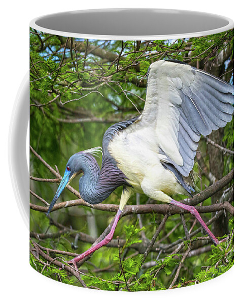 Herons Coffee Mug featuring the photograph Determination by DB Hayes