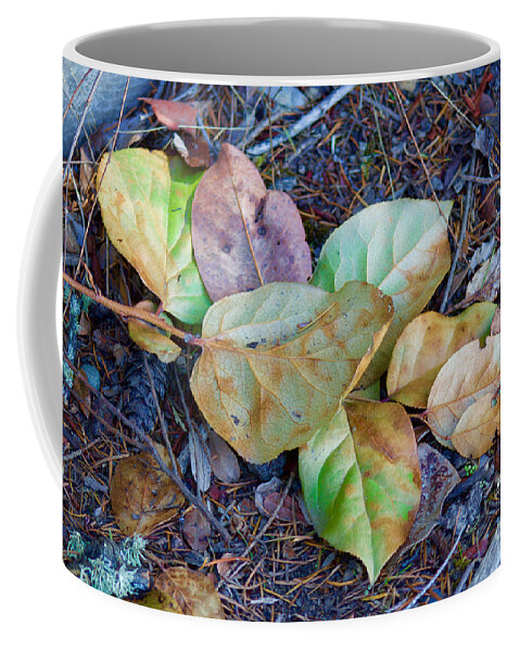 Photography Coffee Mug featuring the photograph Detritus by Sean Griffin