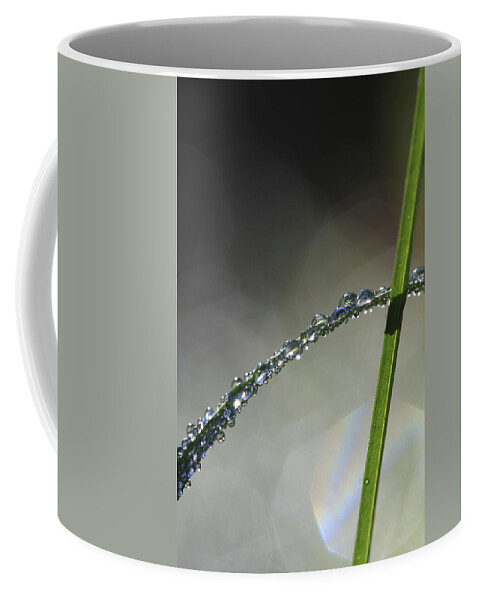 Abstract Coffee Mug featuring the photograph Dew drops clinging to blade of grass by Ulrich Kunst And Bettina Scheidulin