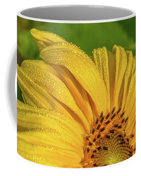 Cheryl Baxter Photography Coffee Mug featuring the photograph Dew on Sunflower Petals by Cheryl Baxter