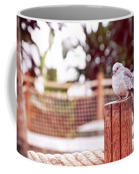 Pigeon Coffee Mug featuring the photograph Diamond in the garden by Jaroslav Buna