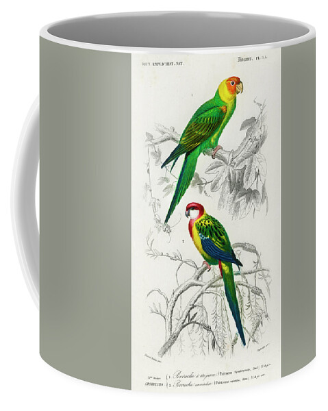 Birds Coffee Mug featuring the painting Different illustrated types of birds by Vincent Monozlay