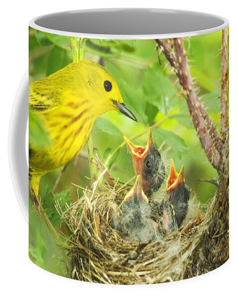 Yellow Warbler Coffee Mug featuring the photograph Dinner At The Warblers by Gary Beeler