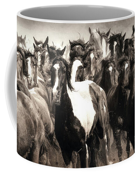 Horses Coffee Mug featuring the photograph Dinner Run by Pamela Steege