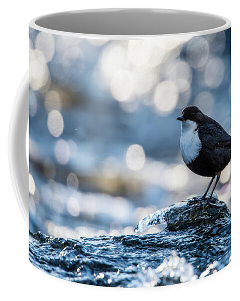 Dipper On Ice Coffee Mug featuring the photograph Dipper on Ice by Torbjorn Swenelius