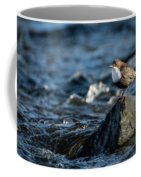 Dipper On The Rock Coffee Mug featuring the photograph Dipper on the rock by Torbjorn Swenelius