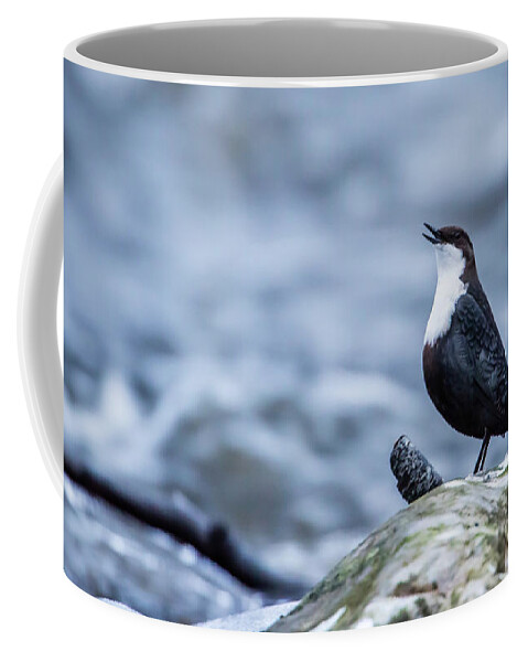 Dipper's Call Coffee Mug featuring the photograph Dipper's Call by Torbjorn Swenelius
