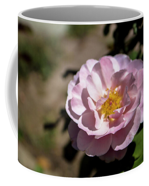 Close-up Coffee Mug featuring the photograph Distant Drums Rose - 2 by K Bradley Washburn