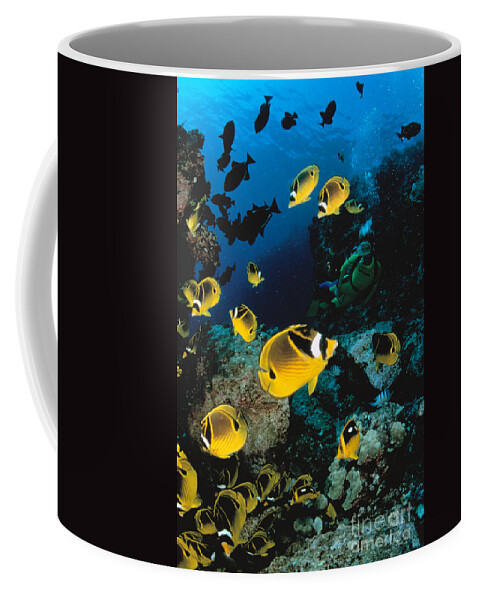 Animal Art Coffee Mug featuring the photograph Diver And Butterflyfish by Dave Fleetham - Printscapes