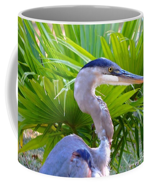 Great Blue Heron Coffee Mug featuring the photograph Dixieland Blues by Tami Quigley