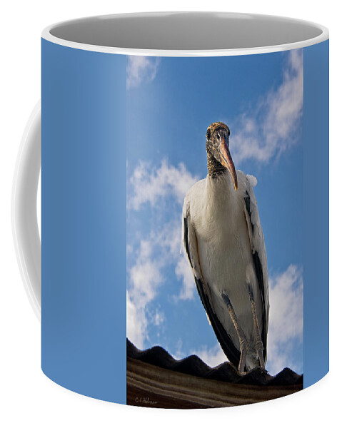 Stork Coffee Mug featuring the photograph Do I Know You by Christopher Holmes
