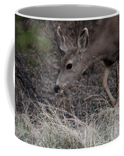 Deer Coffee Mug featuring the photograph Doe Carefully Grazing in Tombstone by Colleen Cornelius