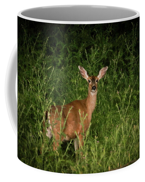 Doe Coffee Mug featuring the photograph Doe by Dr Janine Williams