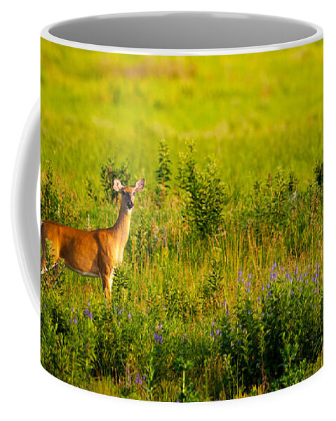 Doe Coffee Mug featuring the photograph Whitetail Doe in Prairie Clover by Jeff Phillippi