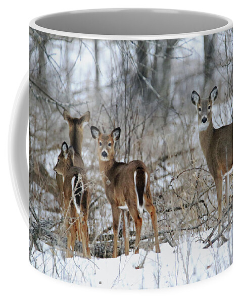 Doe Coffee Mug featuring the photograph Does and Fawns by Brook Burling