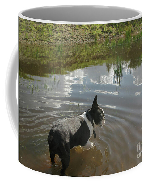 Background Coffee Mug featuring the photograph Dog in pond by Patricia Hofmeester