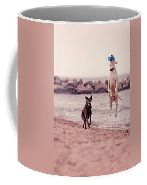 Action Coffee Mug featuring the photograph Dog with frisbee by Peter Lakomy
