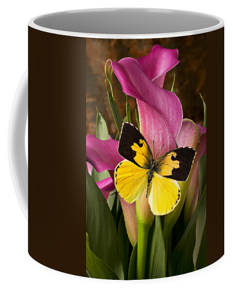 Butterfly Coffee Mug featuring the photograph Dogface butterfly on pink calla lily by Garry Gay