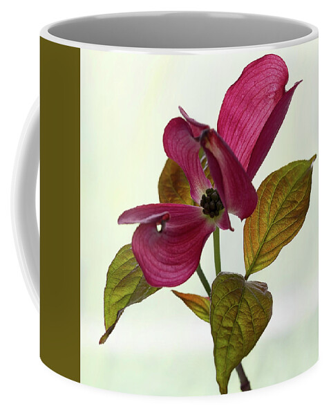 Floral Coffee Mug featuring the photograph Dogwood Ballet 1 by Shirley Mitchell
