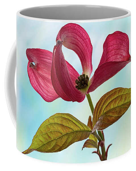 Floral Coffee Mug featuring the photograph Dogwood Ballet 4 by Shirley Mitchell