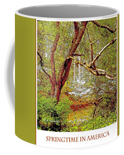 Dogwood Tree Coffee Mug featuring the photograph Dogwood Tree in Spring by A Macarthur Gurmankin