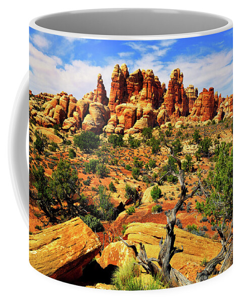 Doll House Coffee Mug featuring the photograph Doll House in the Desert by Greg Norrell