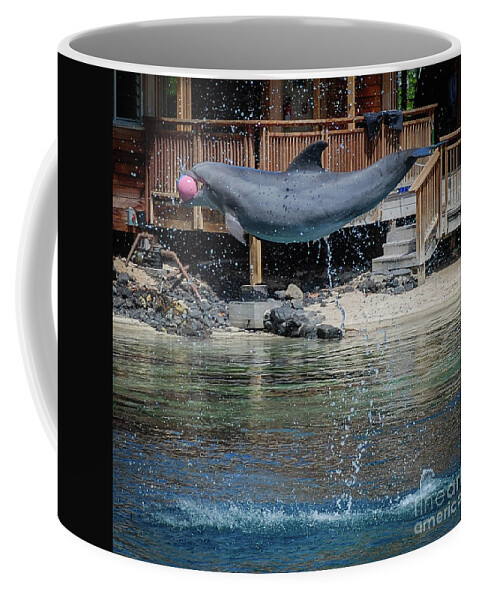 Mamal Coffee Mug featuring the photograph Dolphin by Barry Bohn