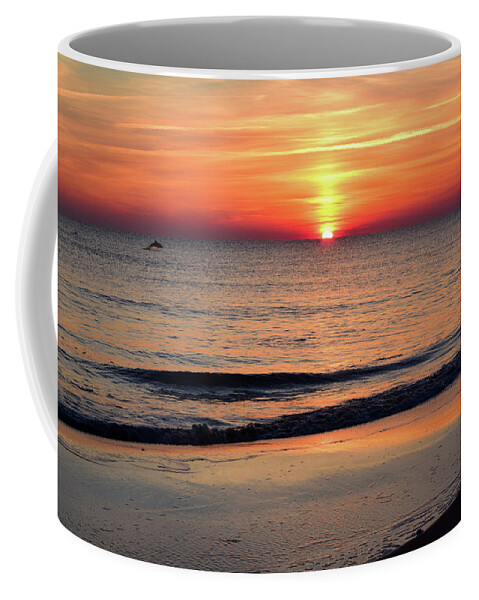 Dolphin Coffee Mug featuring the photograph Dolphin Jumping in the Sunrise by Nicole Lloyd