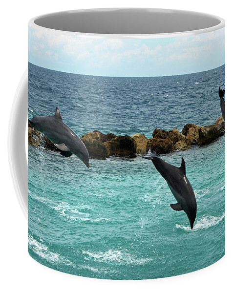 Dolphins Coffee Mug featuring the photograph Dolphins Showtime by Adriana Zoon
